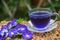 Butterfly Pea flower water in clear glass and butterfly pea flower Thai herbs