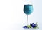 Butterfly pea herbal blue drinks into wine glass horizontal