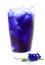 Butterfly pea juice for drink