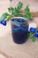 Butterfly pea juice with ice