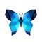 Butterfly polygon art image. Love vector illustration