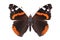 Butterfly - the red admiral Vanessa atalanta isolated on white