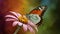 Butterfly rests on rain soaked flower against colored background