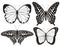 Butterfly silhouette icons set. Vector Illustrations