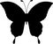 Butterfly silhouette. insect. vector graphics