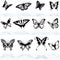 Butterfly Silhouettes