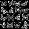 Butterfly silver silhouette