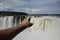 A butterfly sits on a tourist's arm against the backdrop of a waterfall. Puerto Iguazu, Argentina