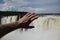 A butterfly sits on a tourist& x27;s arm against the backdrop of a waterfall. Puerto Iguazu, Argentina