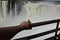 A butterfly sits on a tourist's arm against the backdrop of a waterfall. Puerto Iguazu, Argentina