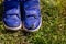 Butterfly sitting on the blue shoes of little boy standing on the grass.