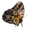 Butterfly sitting side view wings decorated with flowers