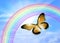 Butterfly Sky Rainbow