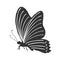 Butterfly stencil by hand drawing - vector