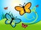 Butterfly In Summer Indicates Warmth Warm And Summertime