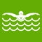 Butterfly swimmer icon green