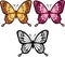 Butterfly Vector Illustration