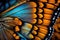 Butterfly Wing - closeup butterfly wing orange. iridescent, background wallpaper texture