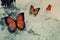 Butterflys