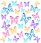 Butterflys. Vector illustration