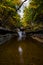 Buttermilk Falls State Park - Autumn Waterfall - Ithaca, New York