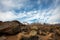 Buttermilk rock formations with snowy Sierra Nevada mountains California