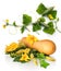 Butternut squash with green leaves and huge flowers