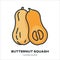 Butternut squash icon, filled outline style vector