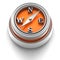 Button Icon: Compass