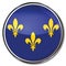 Button of the Ile-de-France