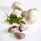 Button Mushroom or Cultivated Mushroom, agaricus bisporus with Parsley and Garlic