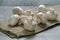 Button mushroom, white mushroom, common mushroom, champignon mushroom,baby bella