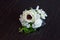 Buttonhole laying on dark background lit by harsh light