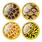 Buttons in style of animal texture