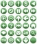 Buttonset Green