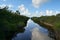 Buttonwood Canal in Everglades National Park, Florida.