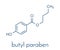 Butyl paraben butylparaben, butyl 4-hydroxybenzoate preservative molecule. Skeletal formula.