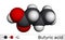 Butyric acid, butanoic acid molecule. Butyrates or butanoates are salts and esters . Molecular model