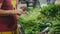 Buyer choosing vegetables and putting into the basket.