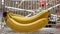 A buyer puts a bunch of ripe bananas in a shopping cart close-up