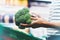 The buyer weighs the green fresh broccoli close up, woman shopping healthy food in supermarket blur background, female hands buy