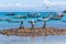 Buzios, Rio de Janeiro.  The bronze sculpture Three fishermen placed in the bay of buzios.