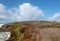 Buzzard flying over Bluff Trail at Fiscalini Ranch Preserve on the Rugged Central California coastline at Cambria California