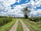 Buzzardâ€™s Swamp in Marienville, Pennsylvania near Clarion and Cooks Forest in the summer with a bright blue cloud filled sky,