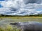 Buzzardâ€™s Swamp in Marienville, Pennsylvania in the summer.  Marsh land filled with large ponds and a dramatic cloud filled blue