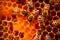 Buzzing activity, close up of working bees on honeycomb cells