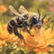 Buzzing Bee: A Pollinator\\\'s Journey