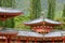 Byodo In temple corner