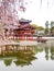 Byodo-in temple, Kyoto, Japan 6