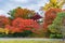 Byodoin Temple Pagoda and lake with red maple leaves or fall foliage in autumn season. Colorful trees, Kyoto, Japan. Nature and